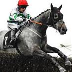 punchestown bet